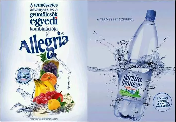 Ízesített ásványvíz és a Hargita Gyöngye ásványvíz Ízesített ásványvíz és a Hargita Gyöngye ásványvíz
